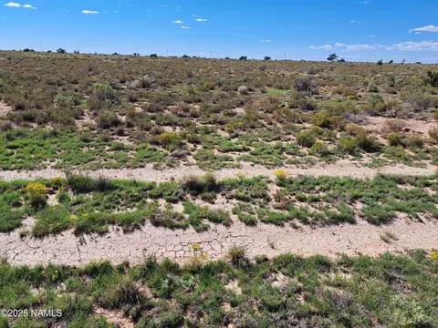 3640 S Amherst St, Valle, AZ 86046