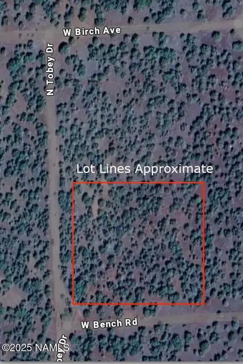3847 W Bench Rd, Williams, AZ 86046 photo 6