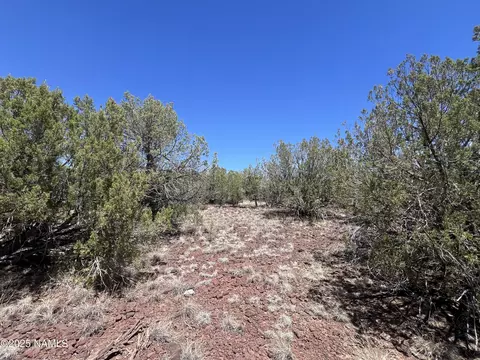 3847 W Bench Rd, Williams, AZ 86046 photo 2