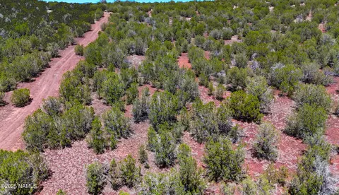 3847 W Bench Rd, Williams, AZ 86046