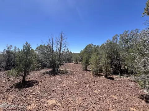 3847 W Bench Rd, Williams, AZ 86046 photo 5