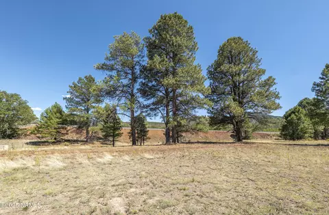 664 Brookline Loop, Williams, AZ 86046 photo 29