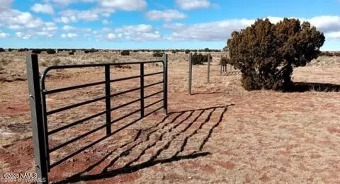 3169 E Judy Dr, Williams, AZ 86046 photo 12