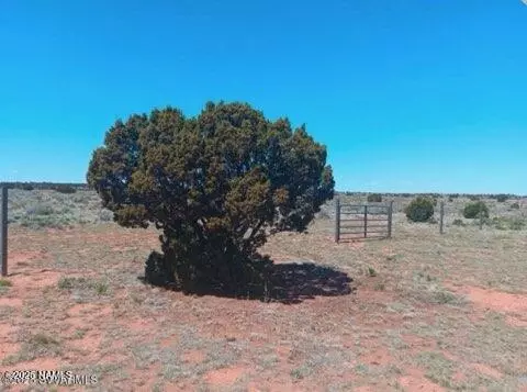 3169 E Judy Dr, Williams, AZ 86046 photo 11