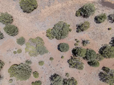 View/Area - 2941 E Hoctor Rd, Williams, AZ 86046 photo 10 of 10