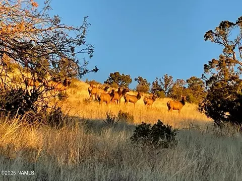 Other - 1843 E Sagebrush Rd, Williams, AZ 86046 photo 15 of 15