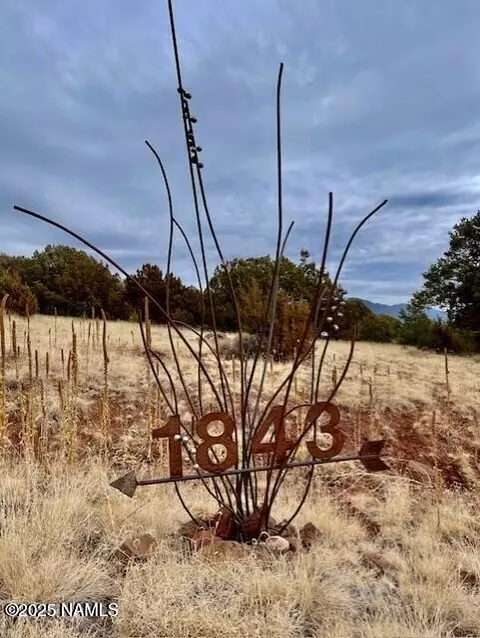 Other - 1843 E Sagebrush Rd, Williams, AZ 86046 photo 8 of 15