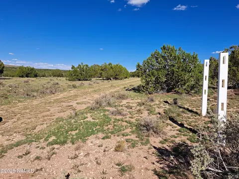 9835 W Latigo Rd, Williams, AZ 86046
