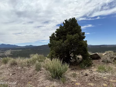 1123 E Broken Arrow Dr, Williams, AZ 86046 photo 10