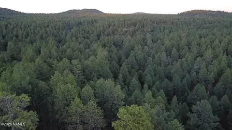 77 E Ski Run Rd, Williams, AZ 86046 photo 1