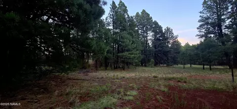 77 E Ski Run Rd, Williams, AZ 86046