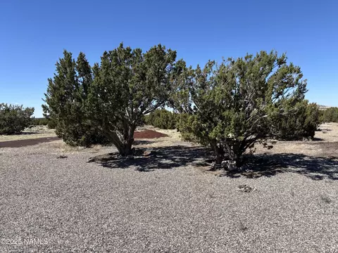 13498 Howard Mesa Loop, Williams, AZ 86046 photo 14