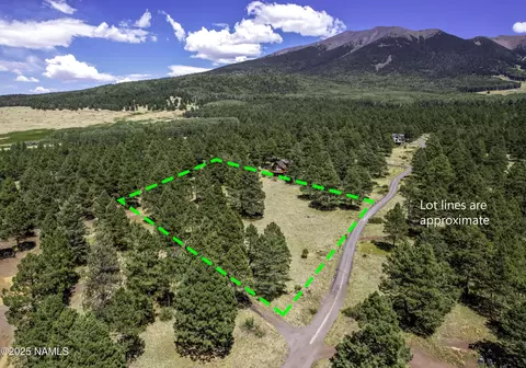 7023 W Private Pine Mountain Rd, Flagstaff, AZ 86001