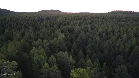 155 E Ski Run Rd, Williams, AZ 86046