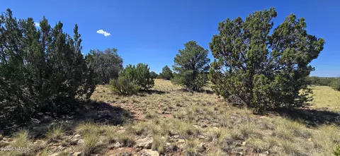 3810 E Wingfield Rd, Williams, AZ 86046