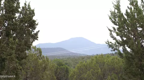 1641 Lara Ln, Williams, AZ 86046