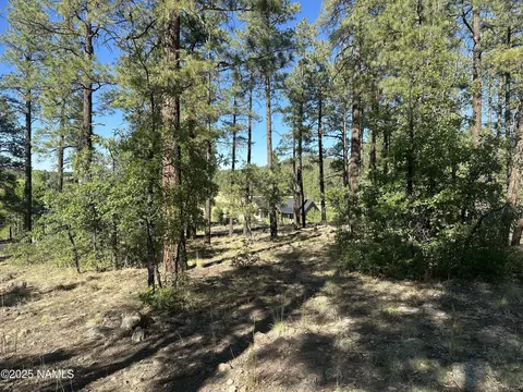 1078 Redwall Way, Williams, AZ 86046 photo 7