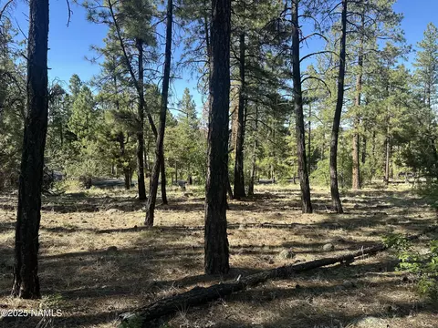 1078 Redwall Way, Williams, AZ 86046 photo 9