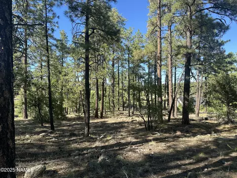1078 Redwall Way, Williams, AZ 86046 photo 10