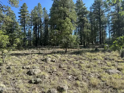 1078 Redwall Way, Williams, AZ 86046 photo 11
