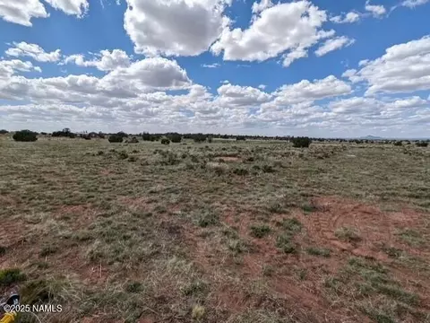 2447 E Wingfield Rd, Williams, AZ 86046 photo 3