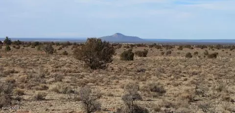 2447 E Wingfield Rd, Williams, AZ 86046 photo 5
