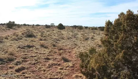 2447 E Wingfield Rd, Williams, AZ 86046 photo 6