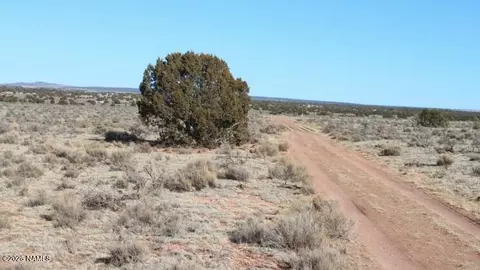 2447 E Wingfield Rd, Williams, AZ 86046 photo 8