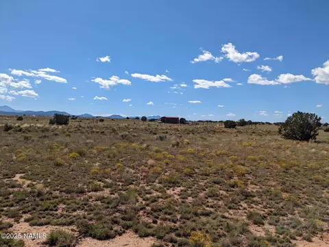 2515 E Wingfield Rd, Williams, AZ 86046 photo 2