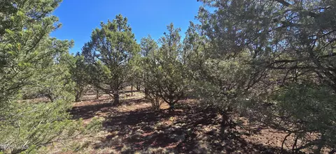 1601 W Wolf Ln, Williams, AZ 86046