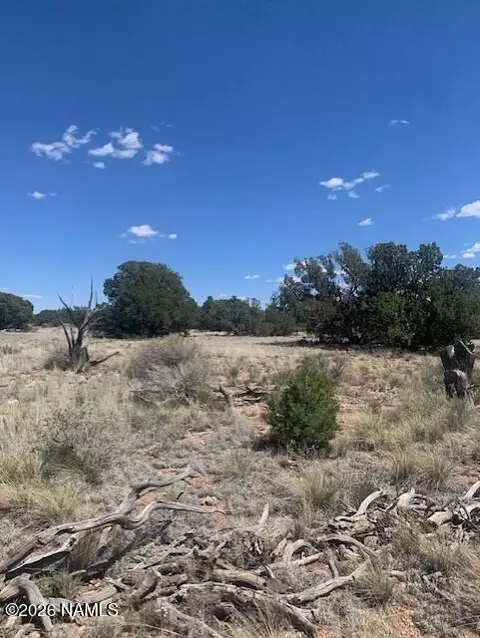 135 S Wyandotte Rd, Williams, AZ 86046