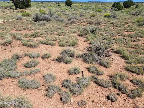 1070 E Rose Cir, Williams, AZ 86046 photo 4