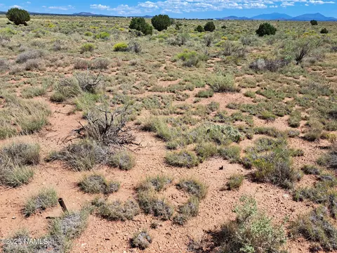 1070 E Rose Cir, Williams, AZ 86046 photo 6