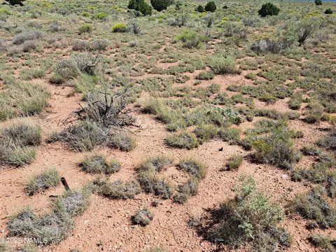 1070 E Rose Cir, Williams, AZ 86046 photo 5