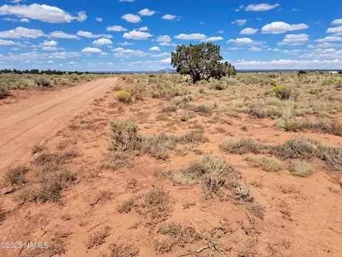 1070 E Rose Cir, Williams, AZ 86046 photo 3