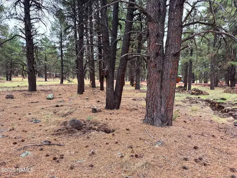 7107 E Long Bow Dr, Williams, AZ 86046 photo 10