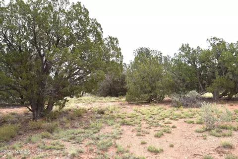 756 S Big Springs Rd, Williams, AZ 86046