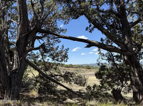 000 Off Palomino Dr, Williams, AZ 86046