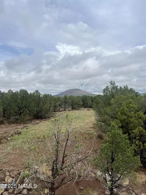 1269 E Tamarack St, Williams, AZ 86046 photo 4