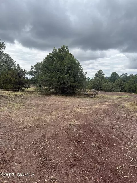 1269 E Tamarack St, Williams, AZ 86046 photo 7