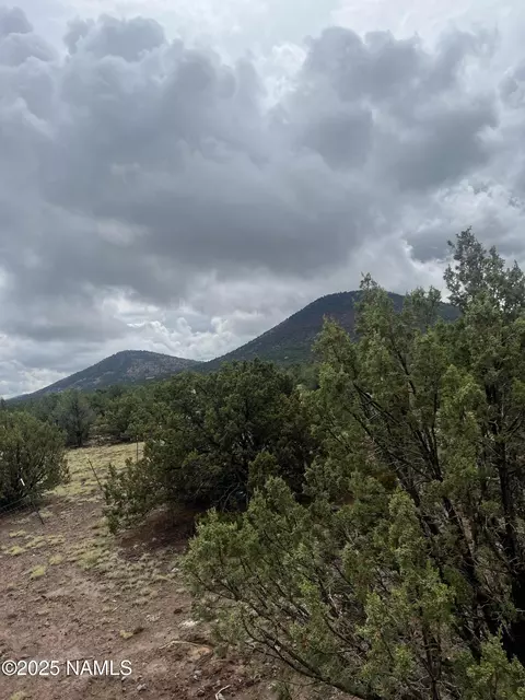 1269 E Tamarack St, Williams, AZ 86046 photo 3