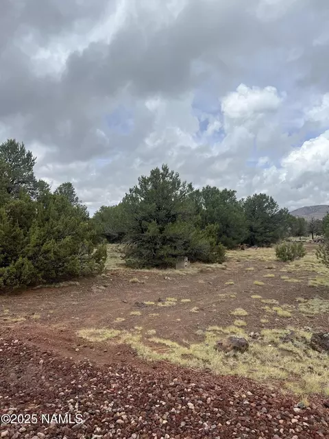 1269 E Tamarack St, Williams, AZ 86046 photo 5