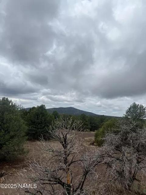 1269 E Tamarack St, Williams, AZ 86046 photo 9
