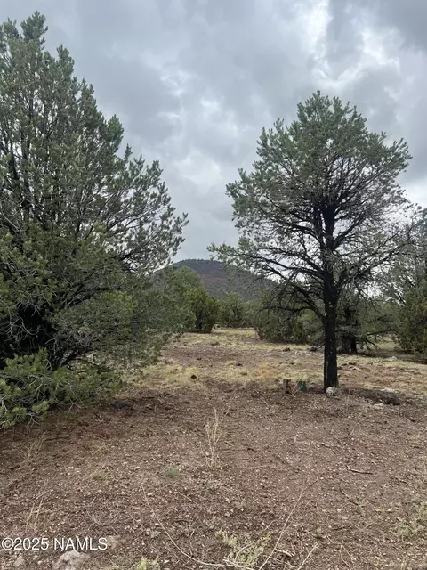 1269 E Tamarack St, Williams, AZ 86046 photo 8