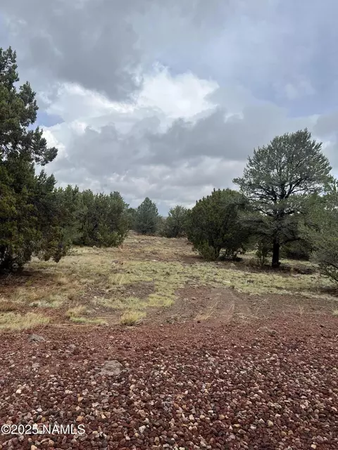 1269 E Tamarack St, Williams, AZ 86046 photo 6