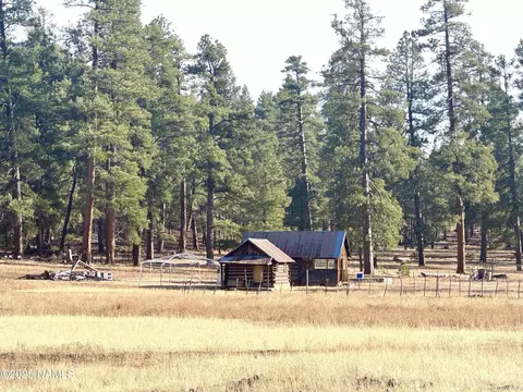 12405 Forest Service 772, Flagstaff, AZ 86005