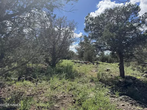 960 W Buck Dr, Williams, AZ 86046 photo 9