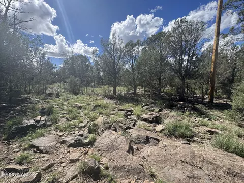 960 W Buck Dr, Williams, AZ 86046 photo 11