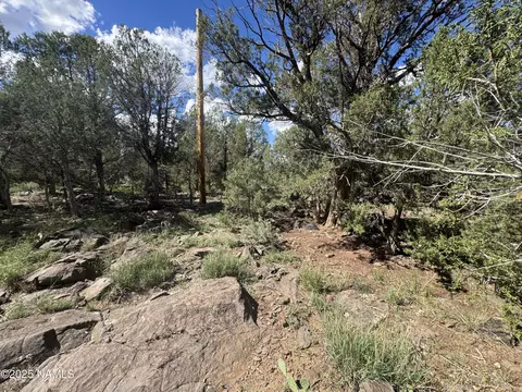 960 W Buck Dr, Williams, AZ 86046 photo 10
