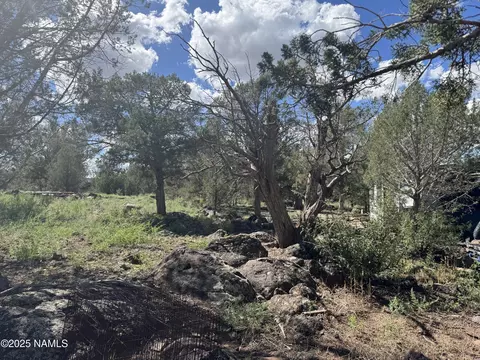 960 W Buck Dr, Williams, AZ 86046 photo 8